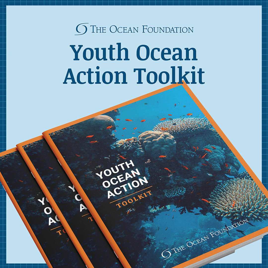 Youth Action Ocean Toolkit