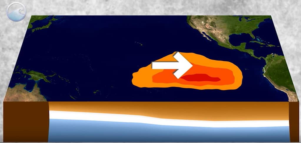 El Nino explained