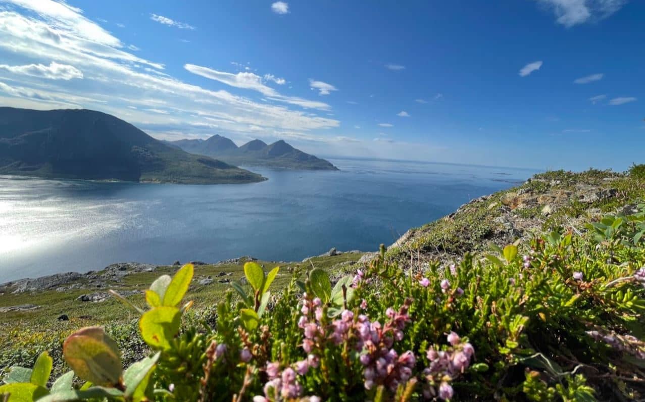 UK Plans Natural Capital Markets For Marine Protection