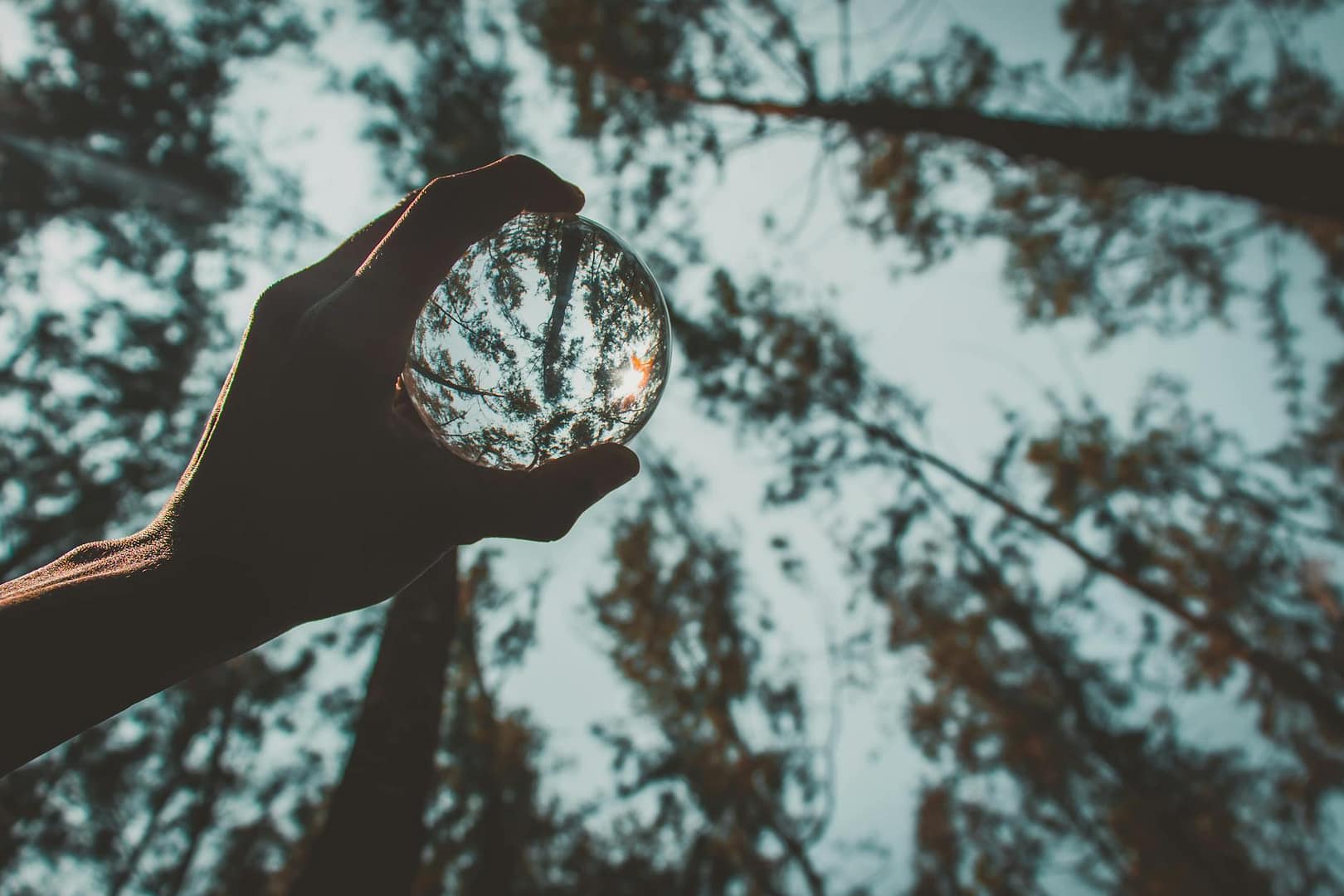 crop man with reflecting crystal ball in forest