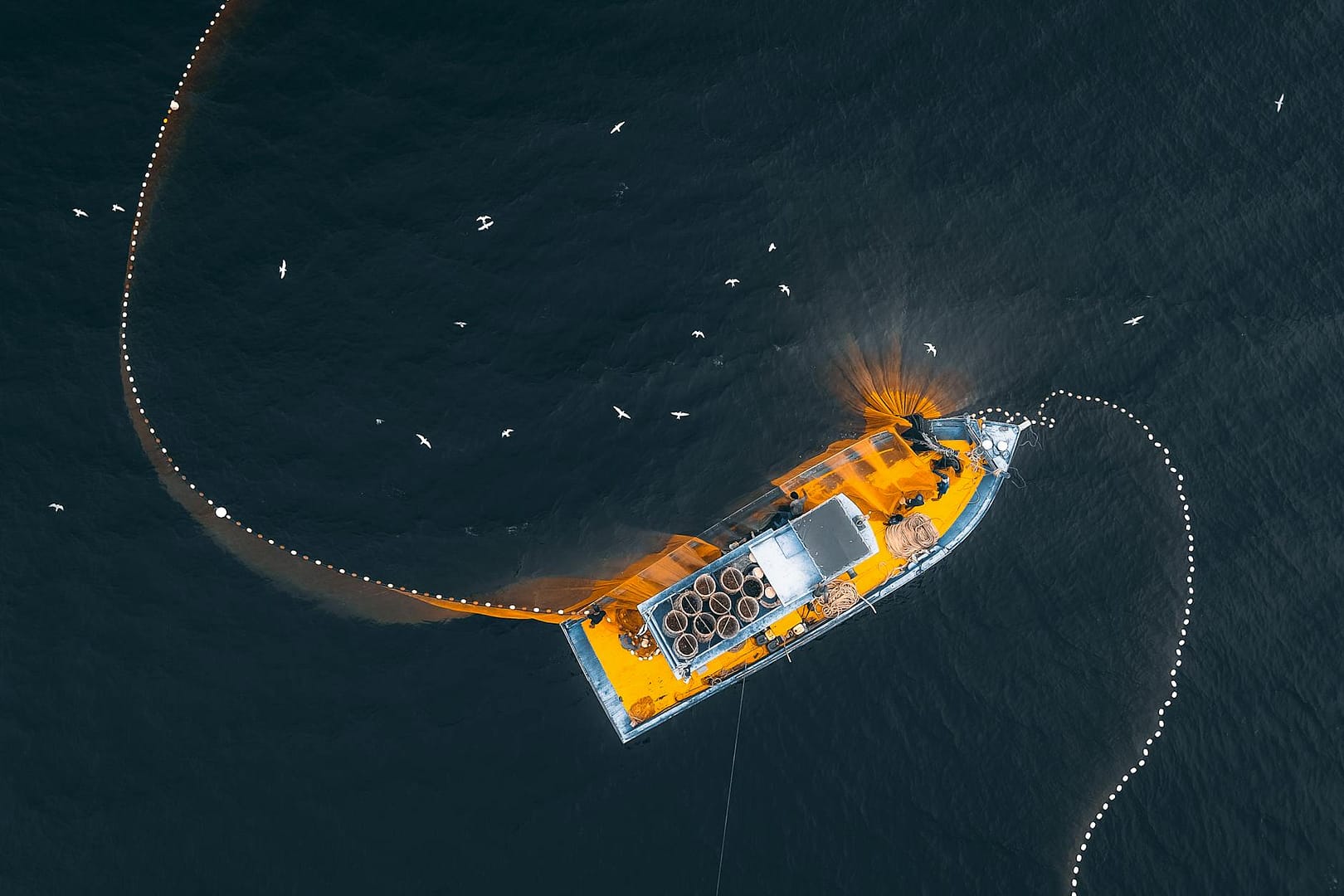 Using multiple data sources, researchers gain new understanding of vessel reflagging and potential unauthorized activity.