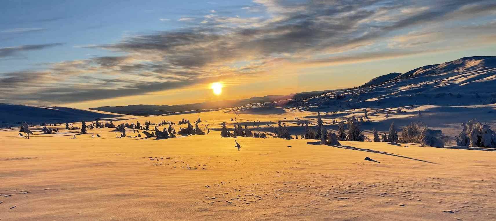Restoring Arctic sea-ice