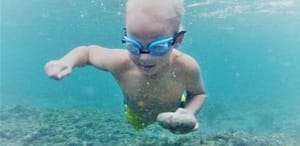 Painkillers from the oceans on the rise