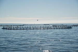 aquaculture on sea