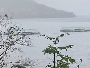 Advocacy and legislation for the protection of the ocean and marine life