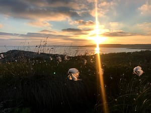 The sun never sets for ocean industrialization