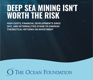 The Ocean Foundation Deep Sea Mining Report