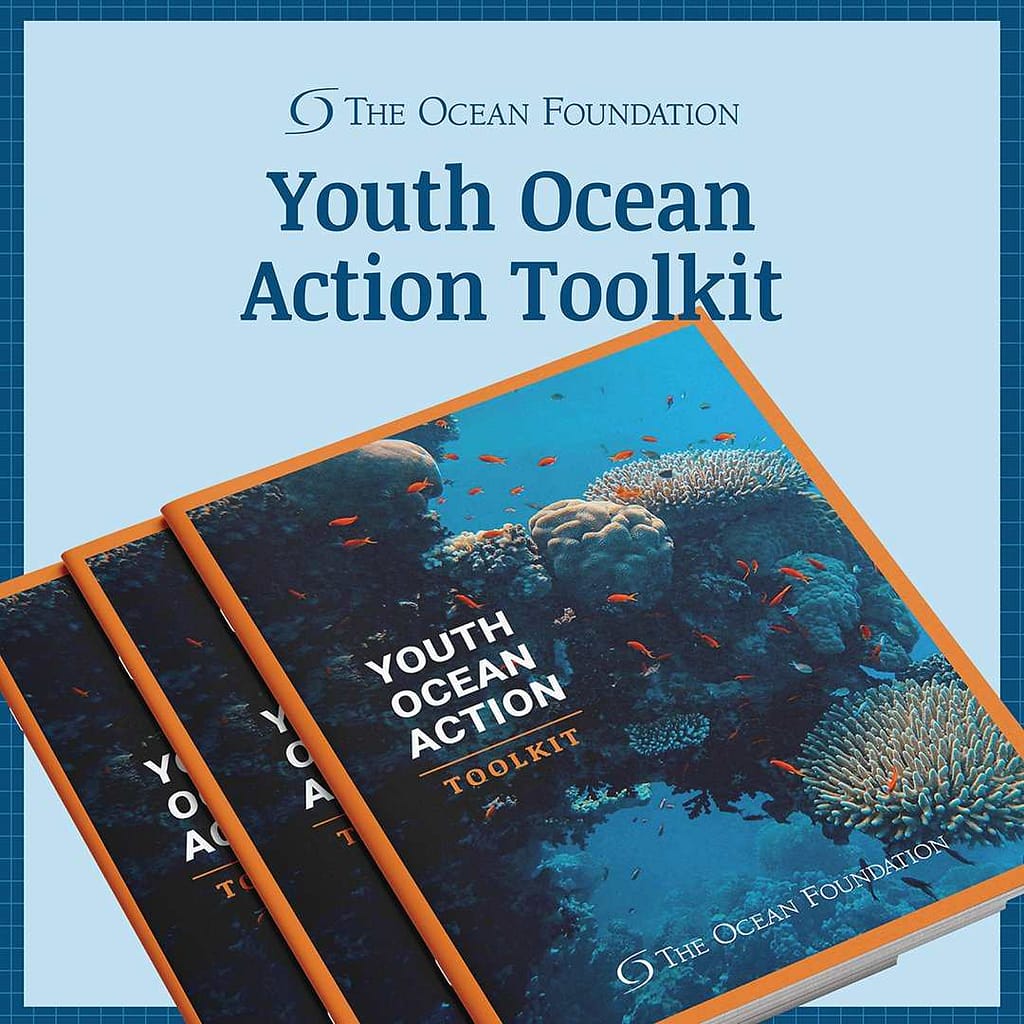 Youth Action Ocean Toolkit