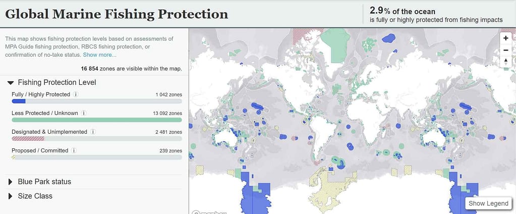 Global Marine Fishing Protection