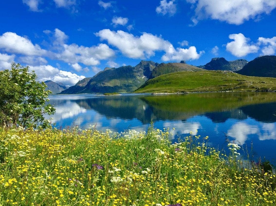 Lofoten er råbra