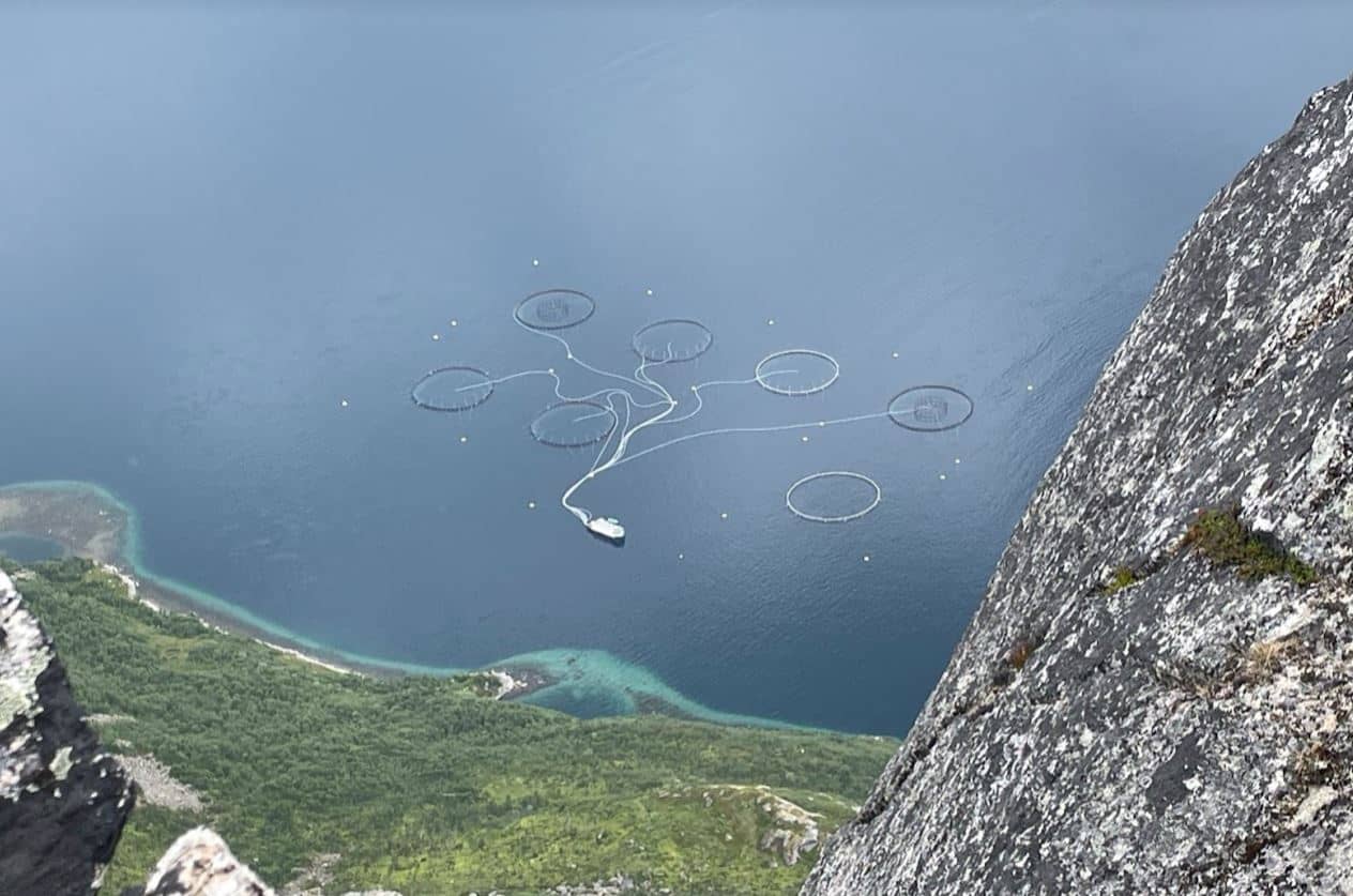 Recirculating aquaculture systems