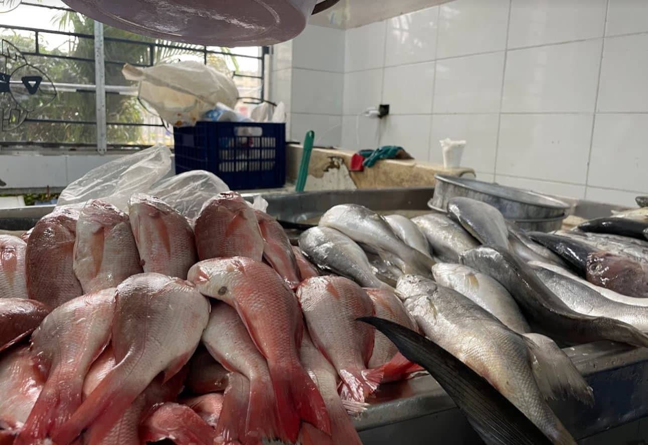 Fish market in Panama
