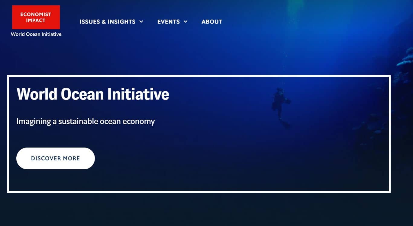 The World Ocean Initiative