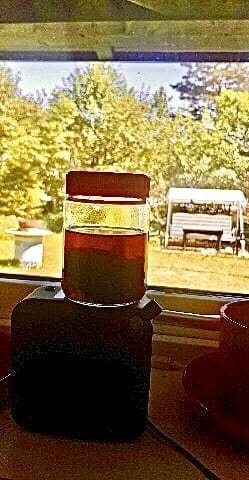 Recipe on pickled seaweed