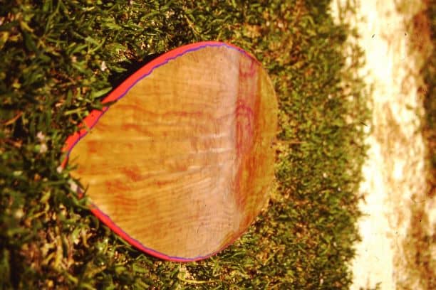 Windsurfing board made of wood