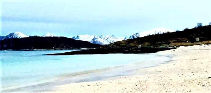 Ten good news for the oceans in 2020