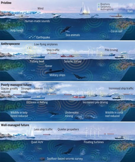 Sound in the ocean