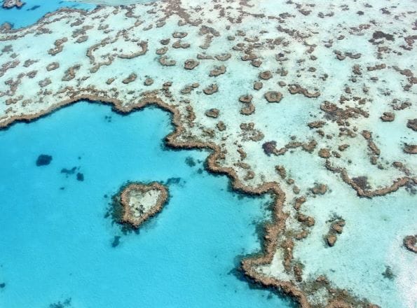 Australia Blocks Proposed Coal Mine Near Great Barrier Reef. Credit Yale360